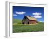 Old Red Barn in a Field of Spring Wheat-Terry Eggers-Framed Photographic Print