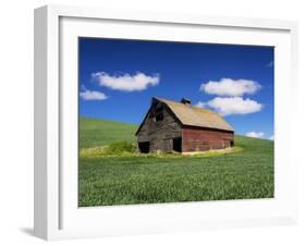 Old Red Barn in a Field of Spring Wheat-Terry Eggers-Framed Photographic Print