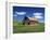 Old Red Barn in a Field of Spring Wheat-Terry Eggers-Framed Photographic Print