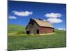 Old Red Barn in a Field of Spring Wheat-Terry Eggers-Mounted Photographic Print