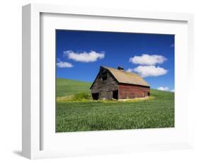 Old Red Barn in a Field of Spring Wheat-Terry Eggers-Framed Photographic Print