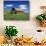 Old Red Barn in a Field of Spring Wheat-Terry Eggers-Photographic Print displayed on a wall