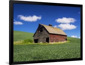 Old Red Barn in a Field of Spring Wheat-Terry Eggers-Framed Photographic Print