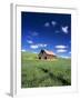 Old Red Barn in a Field of Spring Wheat-Terry Eggers-Framed Photographic Print