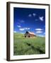 Old Red Barn in a Field of Spring Wheat-Terry Eggers-Framed Photographic Print