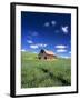 Old Red Barn in a Field of Spring Wheat-Terry Eggers-Framed Photographic Print