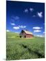 Old Red Barn in a Field of Spring Wheat-Terry Eggers-Mounted Photographic Print