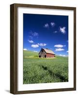 Old Red Barn in a Field of Spring Wheat-Terry Eggers-Framed Photographic Print