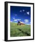 Old Red Barn in a Field of Spring Wheat-Terry Eggers-Framed Photographic Print