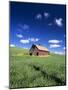 Old Red Barn in a Field of Spring Wheat-Terry Eggers-Mounted Photographic Print