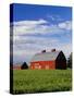 Old Red Barn in Field-Terry Eggers-Stretched Canvas