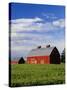 Old Red Barn in Field-Terry Eggers-Stretched Canvas