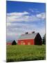 Old Red Barn in Field-Terry Eggers-Mounted Photographic Print