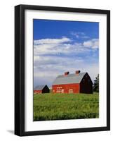 Old Red Barn in Field-Terry Eggers-Framed Photographic Print