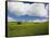 Old Red Barn in Spring Wheat Fields-Terry Eggers-Framed Stretched Canvas