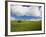 Old Red Barn in Spring Wheat Fields-Terry Eggers-Framed Photographic Print
