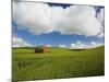 Old Red Barn in Spring Wheat Fields-Terry Eggers-Mounted Photographic Print