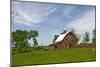 Old Red Barn, Kansas, USA-Michael Scheufler-Mounted Photographic Print