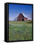 Old Red Barn with Spring Wildflowers, Grangeville, Idaho, USA-Terry Eggers-Framed Stretched Canvas