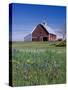 Old Red Barn with Spring Wildflowers, Grangeville, Idaho, USA-Terry Eggers-Stretched Canvas