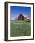 Old Red Barn with Spring Wildflowers, Grangeville, Idaho, USA-Terry Eggers-Framed Photographic Print