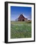 Old Red Barn with Spring Wildflowers, Grangeville, Idaho, USA-Terry Eggers-Framed Photographic Print