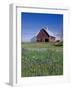 Old Red Barn with Spring Wildflowers, Grangeville, Idaho, USA-Terry Eggers-Framed Photographic Print