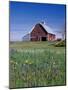 Old Red Barn with Spring Wildflowers, Grangeville, Idaho, USA-Terry Eggers-Mounted Photographic Print