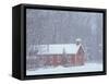 Old Red Schoolhouse and Forest in Snowfall at Christmastime, Michigan, USA-Mark Carlson-Framed Stretched Canvas