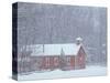 Old Red Schoolhouse and Forest in Snowfall at Christmastime, Michigan, USA-Mark Carlson-Stretched Canvas