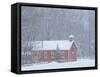 Old Red Schoolhouse and Forest in Snowfall at Christmastime, Michigan, USA-Mark Carlson-Framed Stretched Canvas