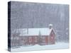 Old Red Schoolhouse and Forest in Snowfall at Christmastime, Michigan, USA-Mark Carlson-Stretched Canvas