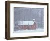 Old Red Schoolhouse and Forest in Snowfall at Christmastime, Michigan, USA-Mark Carlson-Framed Photographic Print