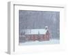 Old Red Schoolhouse and Forest in Snowfall at Christmastime, Michigan, USA-Mark Carlson-Framed Photographic Print