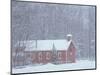 Old Red Schoolhouse and Forest in Snowfall at Christmastime, Michigan, USA-Mark Carlson-Mounted Photographic Print