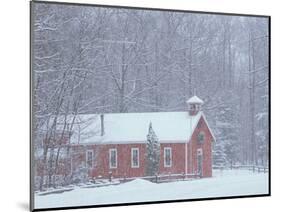 Old Red Schoolhouse and Forest in Snowfall at Christmastime, Michigan, USA-Mark Carlson-Mounted Photographic Print