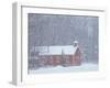 Old Red Schoolhouse and Forest in Snowfall at Christmastime, Michigan, USA-Mark Carlson-Framed Photographic Print