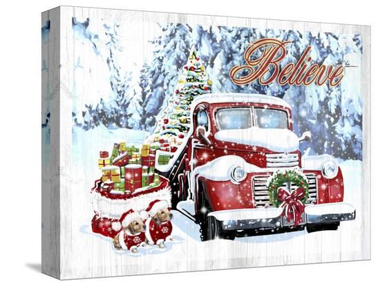 Stretched Canvas Print, , large