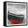 Old Red-Kimberly Allen-Framed Stretched Canvas