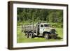 Old Reliable_Color-Brenda Petrella Photography LLC-Framed Giclee Print