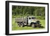 Old Reliable_Color-Brenda Petrella Photography LLC-Framed Giclee Print