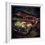 Old Retro 1960's Car Rusting Outdoors-Florian Raymann-Framed Photographic Print