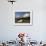 Old Road Bay Beach and Volcano, Montserrat, Leeward Islands, Caribbean, Central America-G Richardson-Framed Photographic Print displayed on a wall