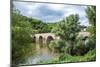 Old Roman Bridge Spanning the River Nahe-Jorg Hackemann-Mounted Photographic Print