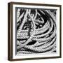 Old Rope BW-Tom Quartermaine-Framed Giclee Print