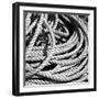 Old Rope BW-Tom Quartermaine-Framed Giclee Print