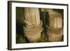 Old Ropes And Dock Post At Dusk-Anthony Paladino-Framed Giclee Print