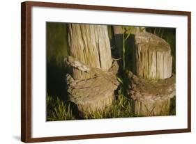 Old Ropes And Dock Post At Dusk-Anthony Paladino-Framed Giclee Print