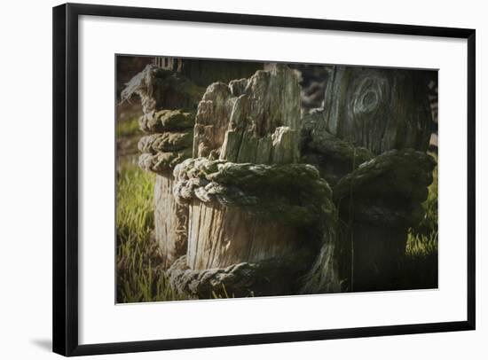 Old Ropes And Dock Post-Anthony Paladino-Framed Giclee Print