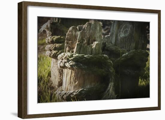 Old Ropes And Dock Post-Anthony Paladino-Framed Giclee Print